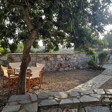 Appartement The Two Carob Trees, Traditional Stonehouse, Nikandri, Pirgos Diros à Lefkias Extérieur photo