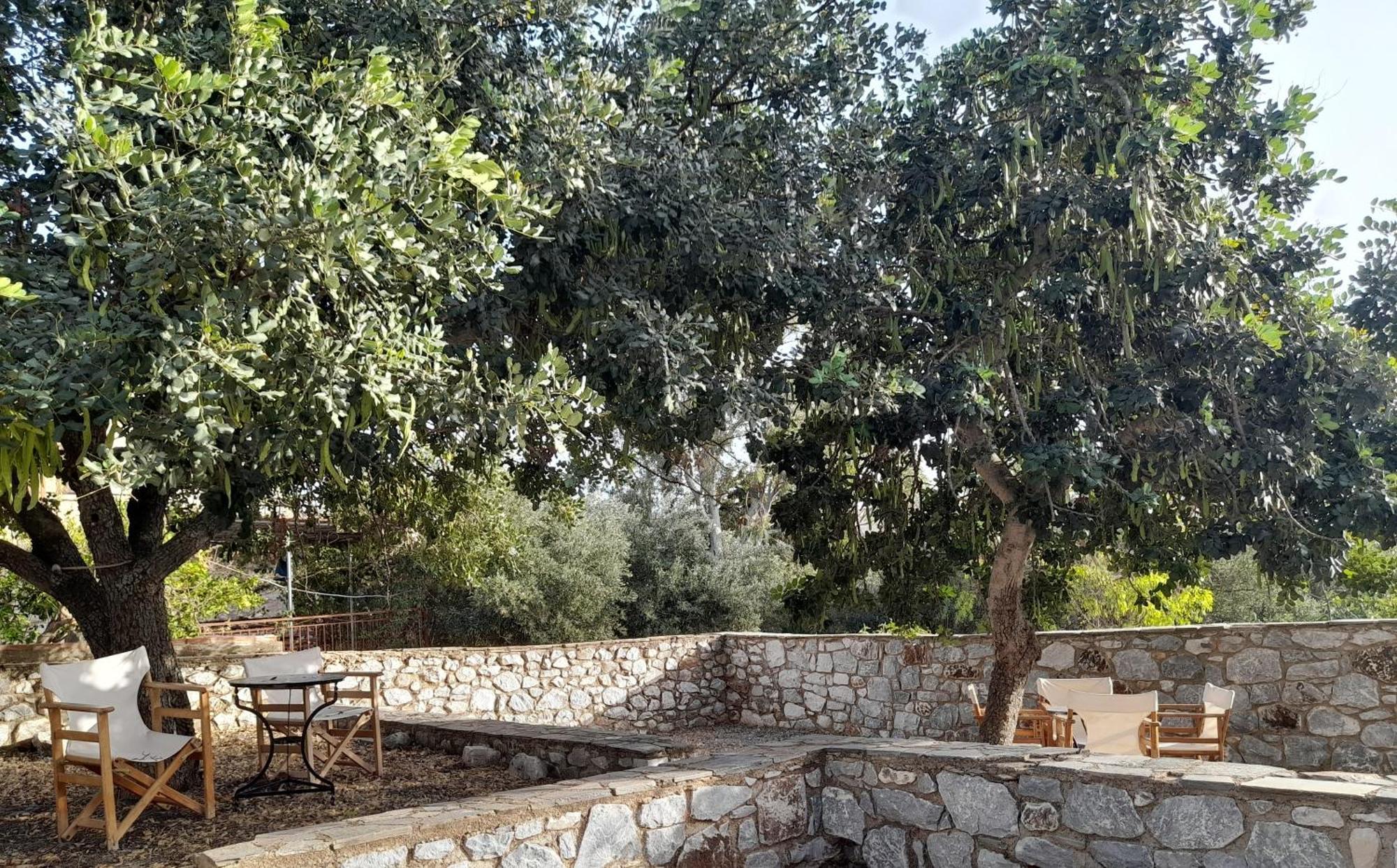 Appartement The Two Carob Trees, Traditional Stonehouse, Nikandri, Pirgos Diros à Lefkias Extérieur photo